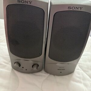 Sony Gray Portable Speakers